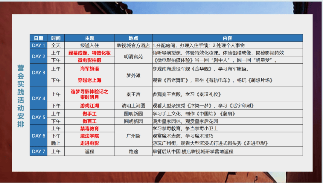 2025澳门天天开好彩大全4，澳门彩票文化，探索2025年天天开好彩的奥秘与魅力