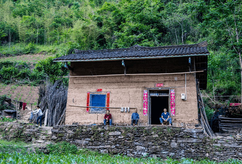 管家婆精准资料大全免费精华区，管家婆精准资料大全免费精华区，深度解析与使用指南