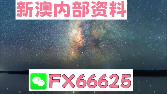 新澳天天彩免费资料大全查询，新澳天天彩免费资料大全查询，探索彩票世界的宝藏