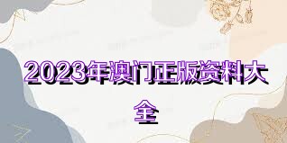 2025年澳门免费资料，澳门免费资料，探索未来的可能性与机遇