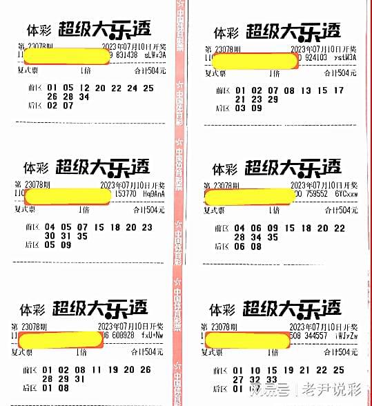 2025年香港港六 彩开奖号码，探索未来，2025年香港港六彩开奖号码展望