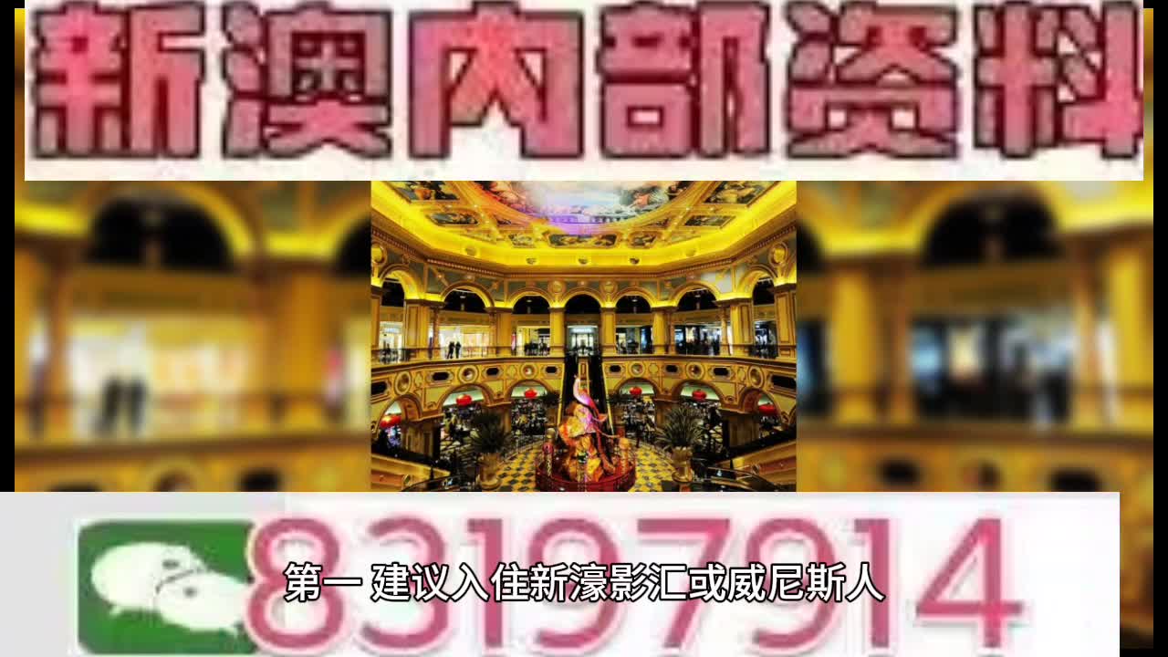 新澳门今晚开特马结果查询，新澳门今晚开特马结果查询，探索与揭秘