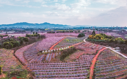 2025新澳今晚资料免费，探索未来之门，2025新澳今晚资料免费