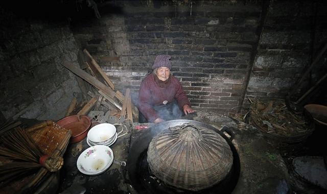 水果奶奶二论坛资料，水果奶奶二论坛资料，一段关于水果的温馨故事与知识分享
