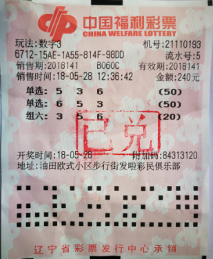 2025年香港港六+彩开奖号码，关于香港港六彩票开奖号码的预测与探讨（2025年）