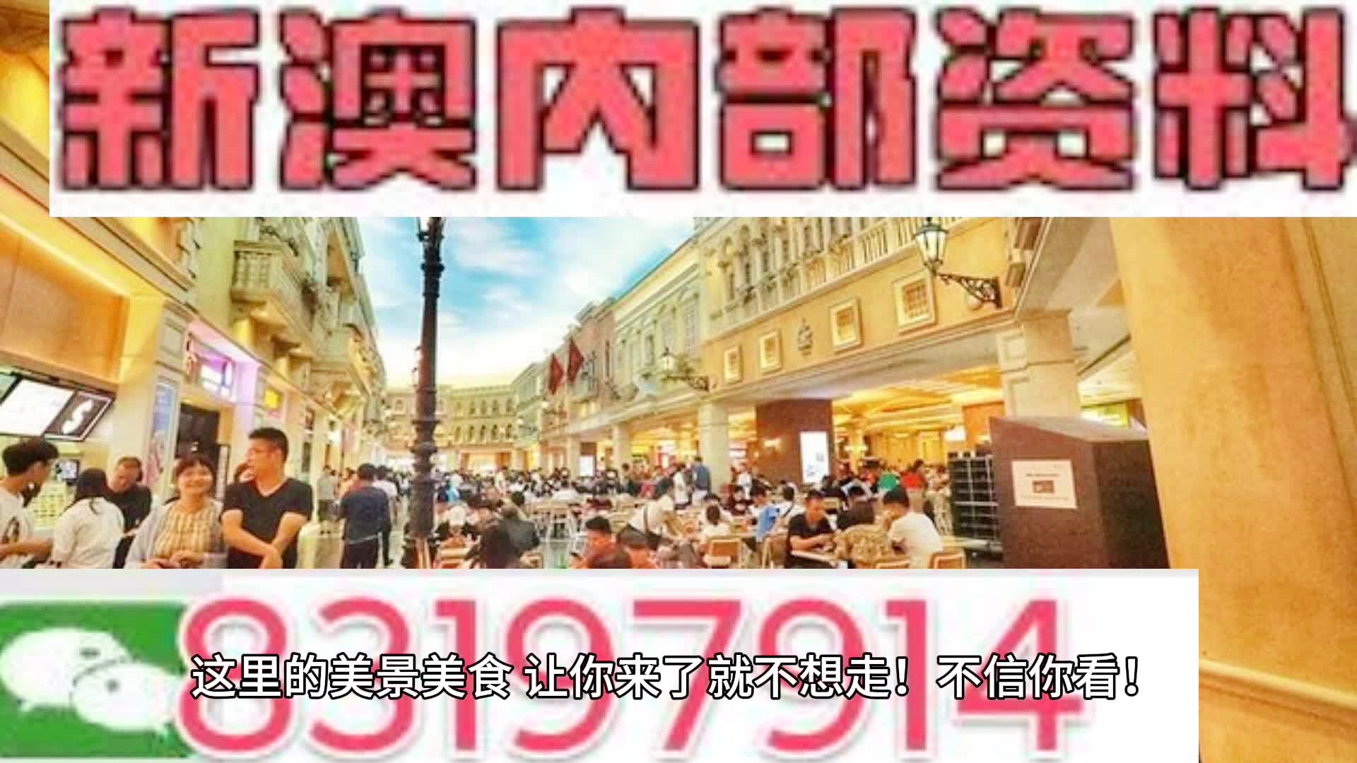 澳门内部最精准免费资料特点，澳门内部最精准免费资料特点深度解析