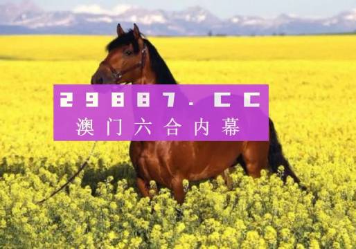 2023澳门六开彩，澳门六开彩，历史、文化与现代魅力