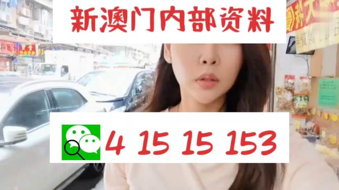 新澳天天开好彩资料大全，新澳天天开好彩资料大全——探索彩票世界的奥秘与魅力
