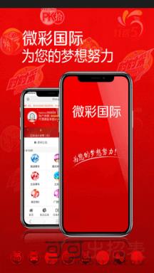新澳门最新开奖结果记录历史查询，新澳门最新开奖结果记录历史查询，探索与解析