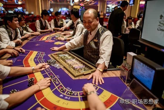 澳门一码一码100准确开奖结果查询，澳门一码一码100%准确开奖结果查询，揭秘彩票背后的秘密