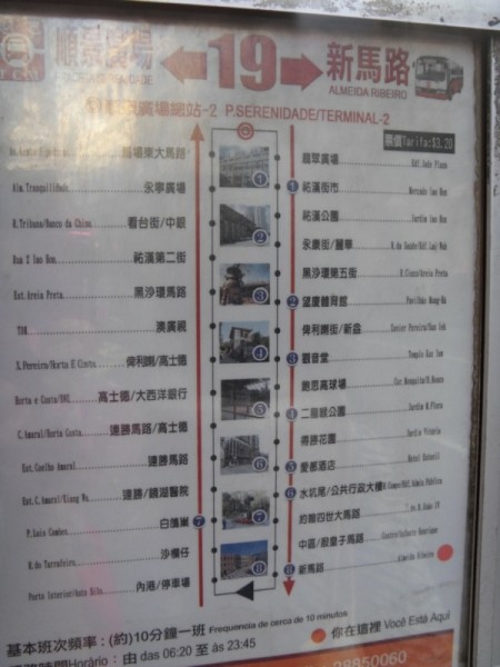 新澳门今晚必开一肖一特，新澳门今晚必开一肖一特，探索命运之轮的神秘面纱