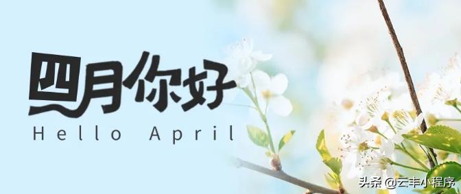 四不像正版免费资料查询，四不像正版免费资料查询，探索与启示