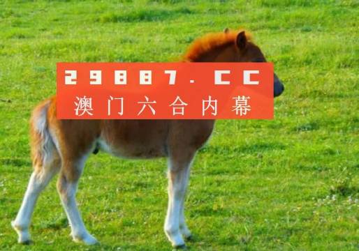 澳门今晚必中一肖一码恩爱一生，澳门今晚必中一肖一码，恩爱一生的美好愿景与追求
