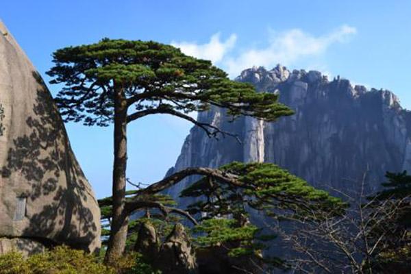 精准一码免费资料大全下载，精准一码免费资料大全下载，探索知识的宝库