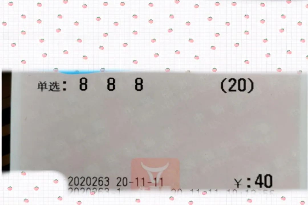 澳门今晚开奖结果2023年，澳门今晚开奖结果2023年，探索彩票背后的故事与影响