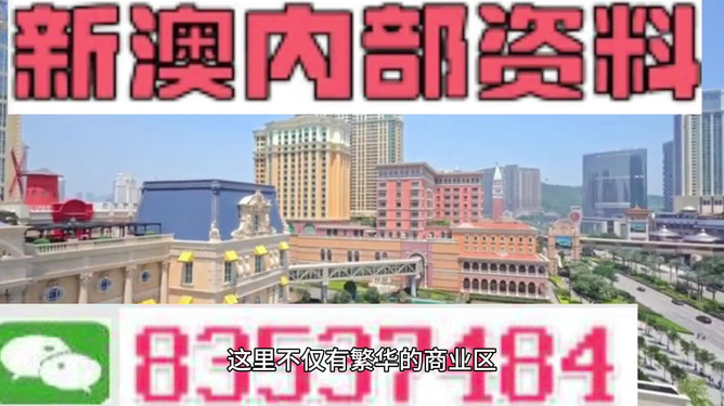 新奥彩正版免费资料，新奥彩正版免费资料，探索与解析