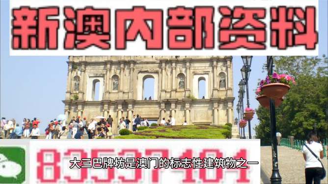 新澳门天天资料，新澳门天天资料，探索与发现