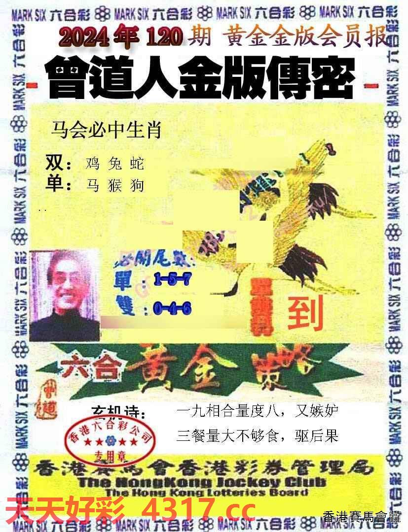 曾道道人资料免费大全，曾道道人资料免费大全，深度挖掘与探索