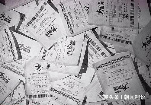 一肖一码免费,公开，一肖一码免费公开，揭秘彩票背后的秘密