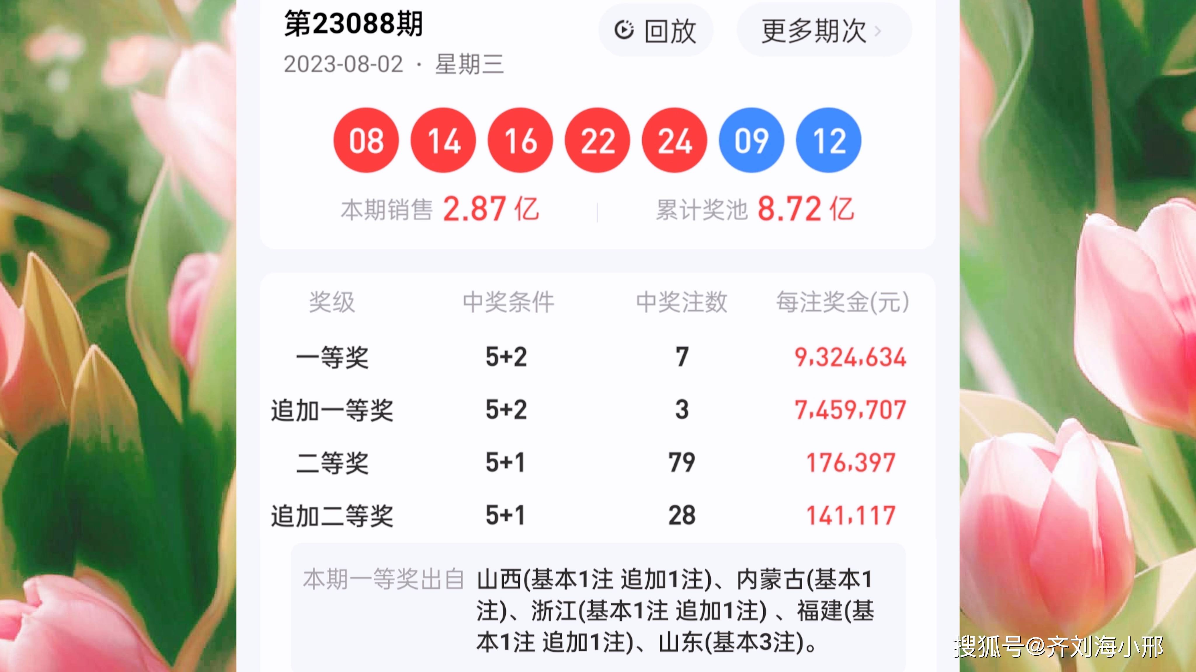 白小姐一肖中期期开奖结果查询，白小姐一肖中期期开奖结果查询，揭秘彩票背后的秘密