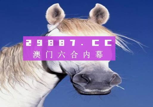 管家婆一肖一码澳门码，管家婆一肖一码澳门码，揭秘与探索