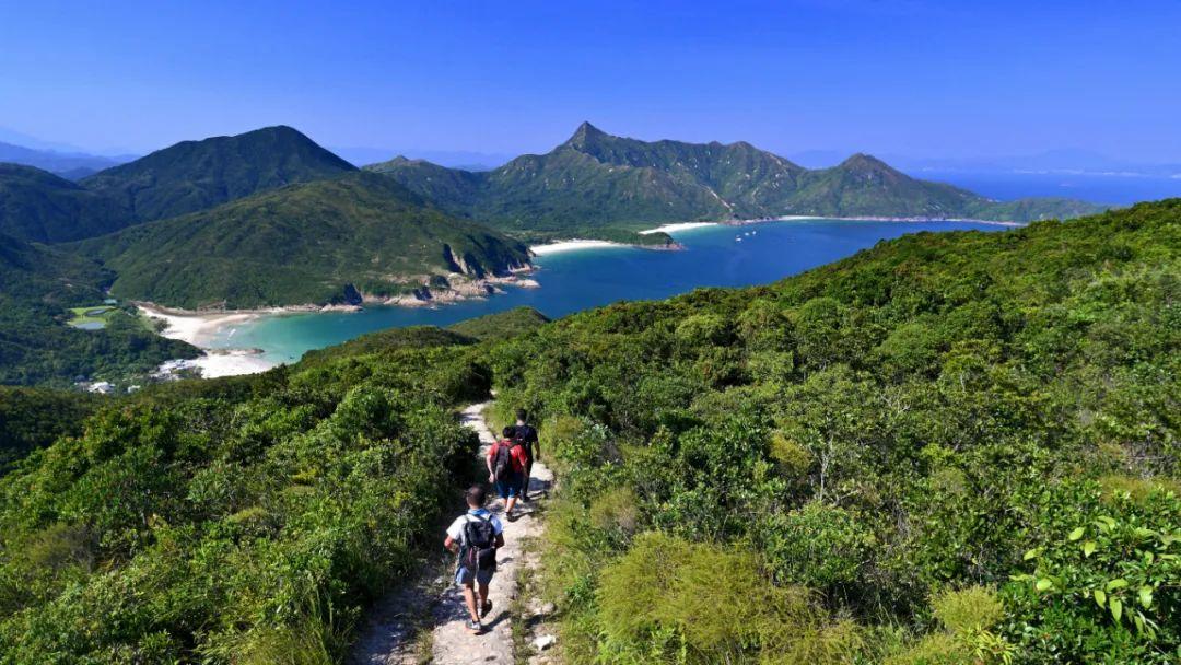 香港正版免费大全资料，香港正版免费大全资料，探索与解析