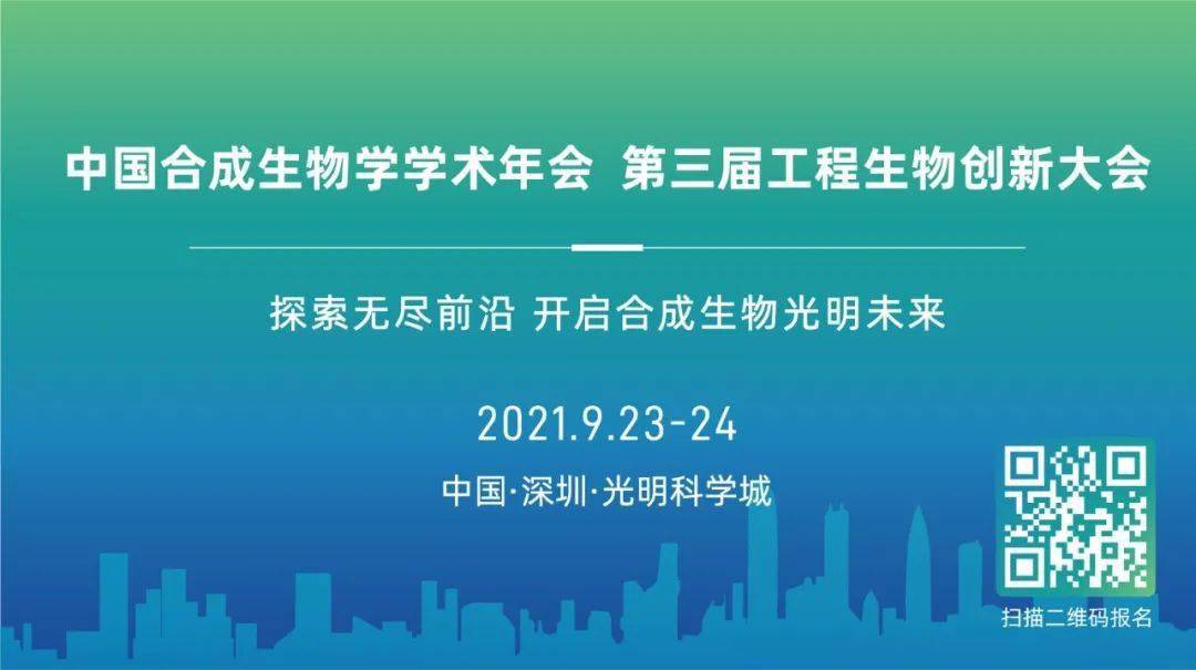 2025新澳免费资料大全，探索未来，2025新澳免费资料大全概览