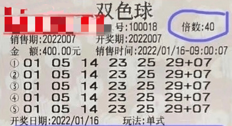 新澳门今晚开特马开奖2025年11月，新澳门今晚开特马开奖，探索彩票背后的故事与期待