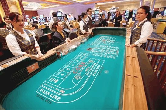 新澳门资料大全正版资料2023，新澳门资料大全正版资料2023，探索与揭秘