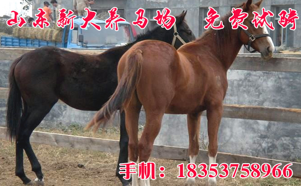 资讯 第16页