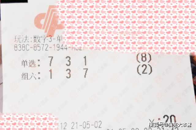 2025年澳门今晚开奖结果，澳门彩票的未来展望，聚焦2025年今晚的开奖结果