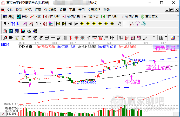 澳门今晚出什么特马肖9点半，澳门今晚特马肖预测与解读（9点半版）