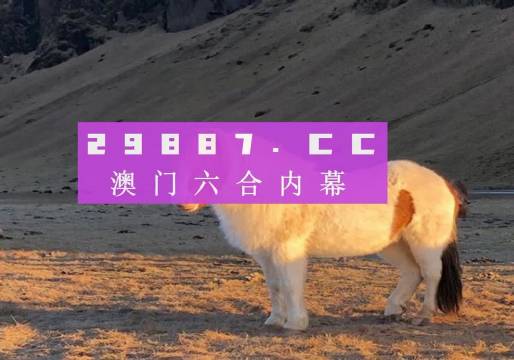 澳门最准一肖一码，澳门最准一肖一码，探索背后的秘密