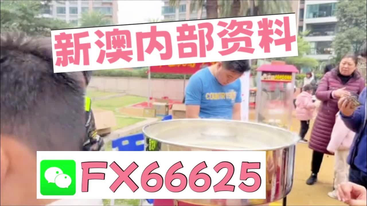 新澳天天开奖资料大全1052期，新澳天天开奖资料大全第1052期详解