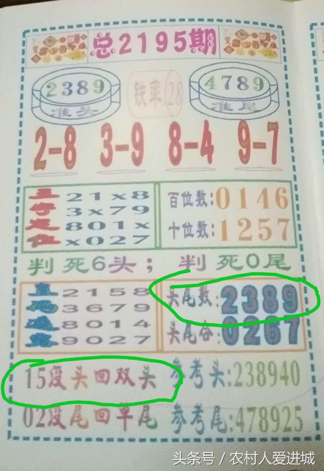 新澳门内部精准二肖，新澳门内部精准二肖，探索与解读