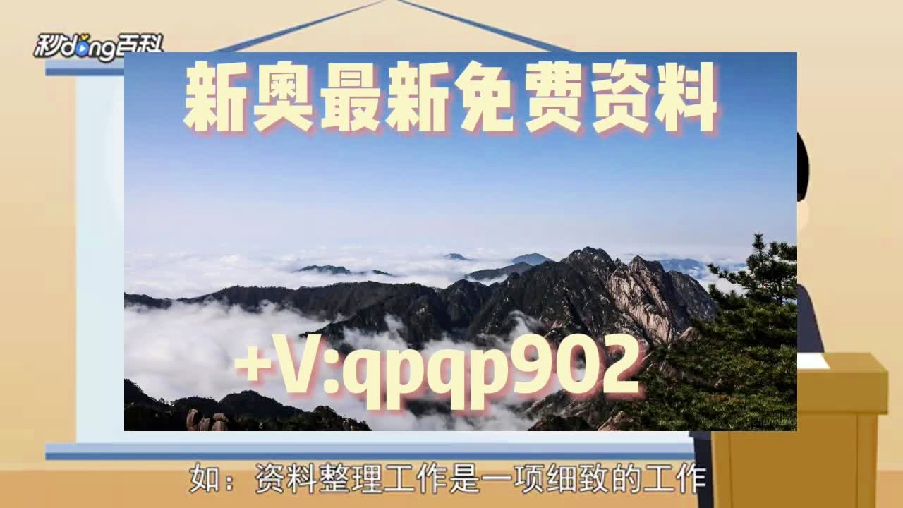 新奥门免费资料大全在线查看，新澳门免费资料大全在线查看，探索与体验
