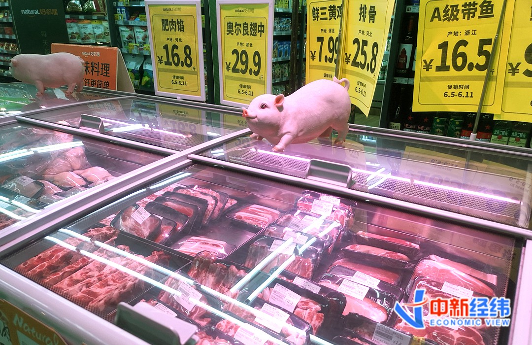 澳门王中王100%的资料一，澳门王中王100%的资料一，深度解析与探索